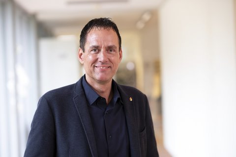 Timo Koch